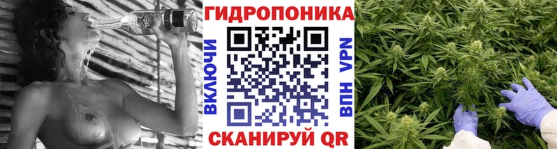 Бошки Шишки Amnesia Кизляр
