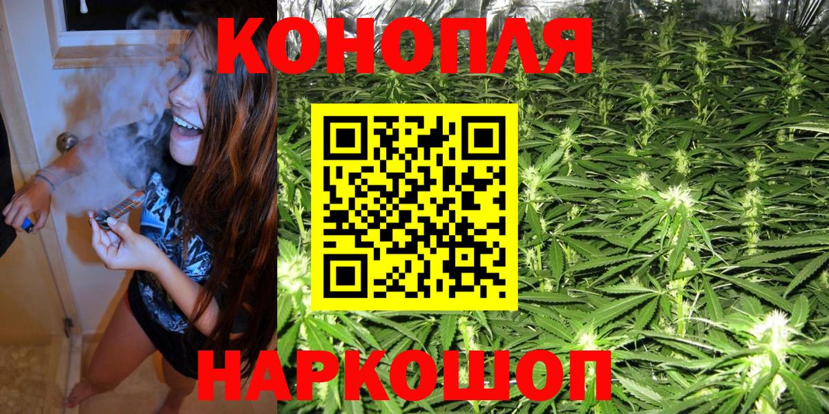 Бошки Шишки ГИДРОПОН Кизляр
